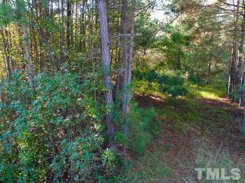 Off Walker Road Linden, NC 28356 - Photo 13 of 13 Gallery Image 13