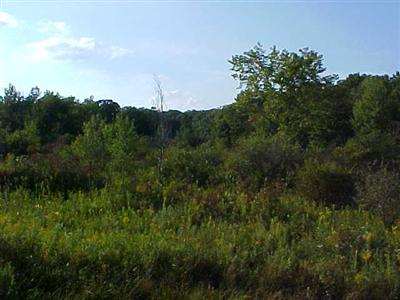 1 East Mills Road Charlotte, MI 48813 - Photo 1 of 2 Primary Photo
