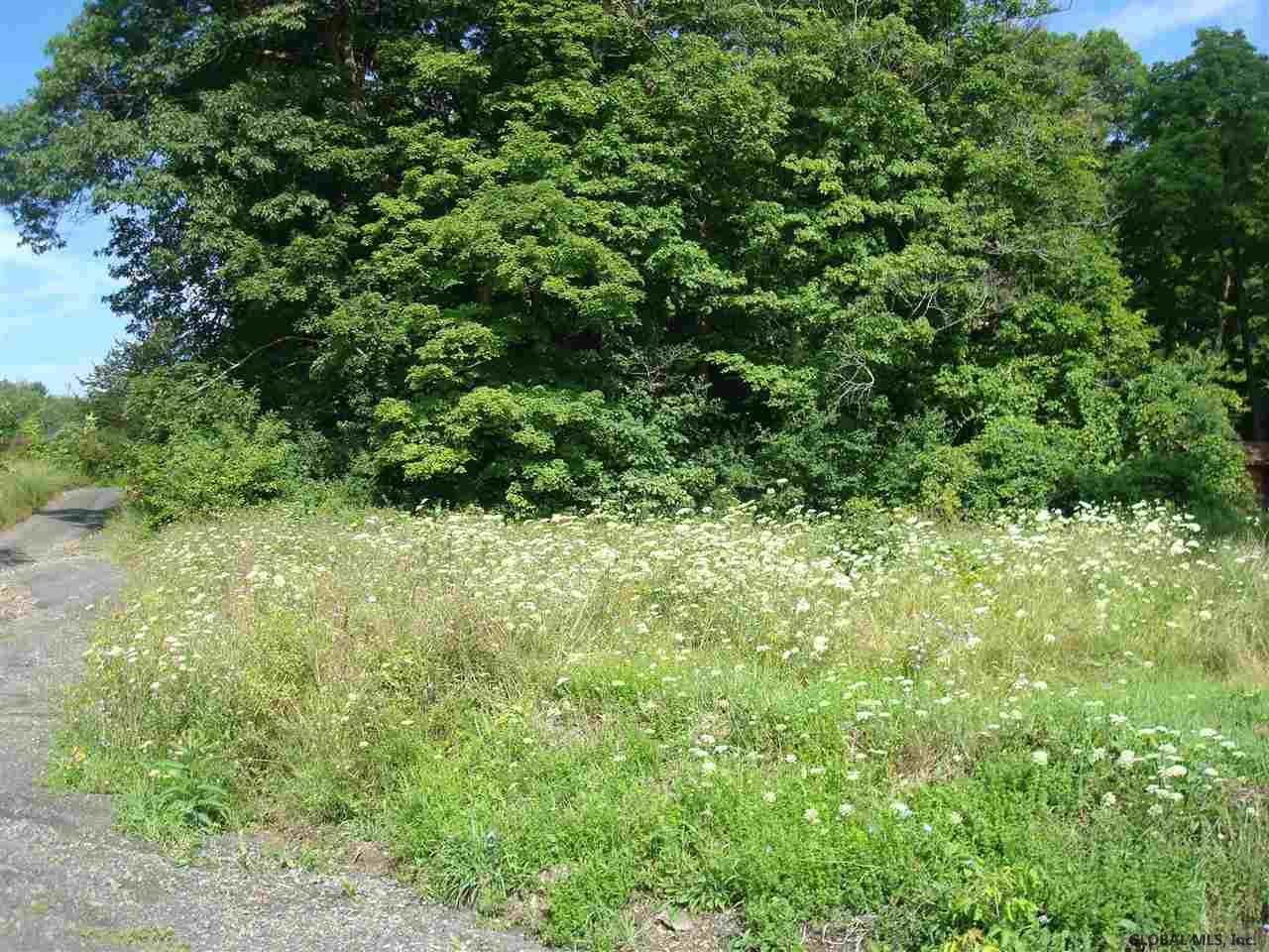 24 Old State Road Coeymans, NY 12143 - Photo 1 of 5 Photo 1