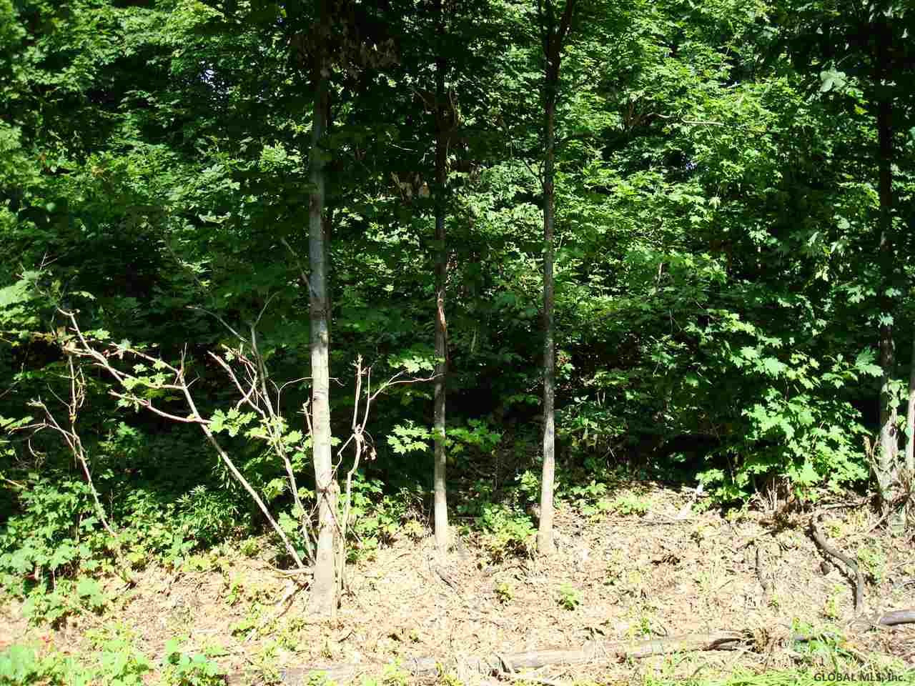 24 Old State Road Coeymans, NY 12143 - Photo 5 of 5 Photo 5