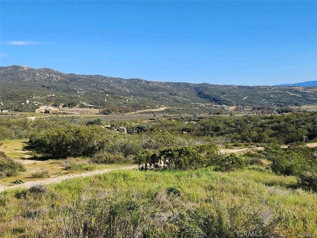 38125 Imler Road Hemet, CA 92544 - Photo 9 of 10 a view of a lush green field with mountains in the background