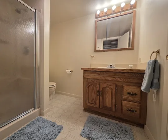 a bathroom with a sink a toilet and mirror