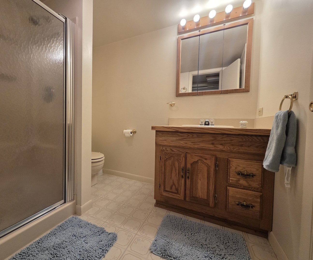 220 South President Street Wheaton, IL 60187 - Photo 19 of 25