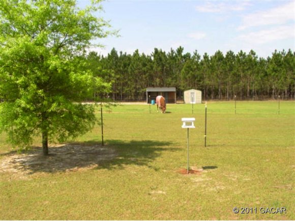14021 225th Road Live Oak, FL 32060 - Photo 9 of 10 Gallery Image 9