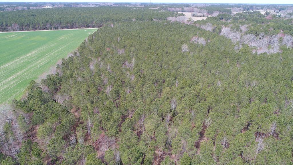 0 Drummondtown Road Accomac, VA 23301 - Photo 36 of 50