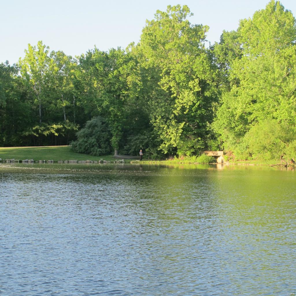 17 Chesterfield Lakes Road Chesterfield, MO 63005 - Photo 35 of 47 Gallery Image 35