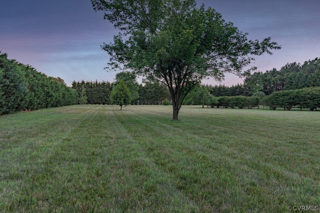 19821 River Road Sutherland, VA 23885 - Photo 40 of 43 Side Yard