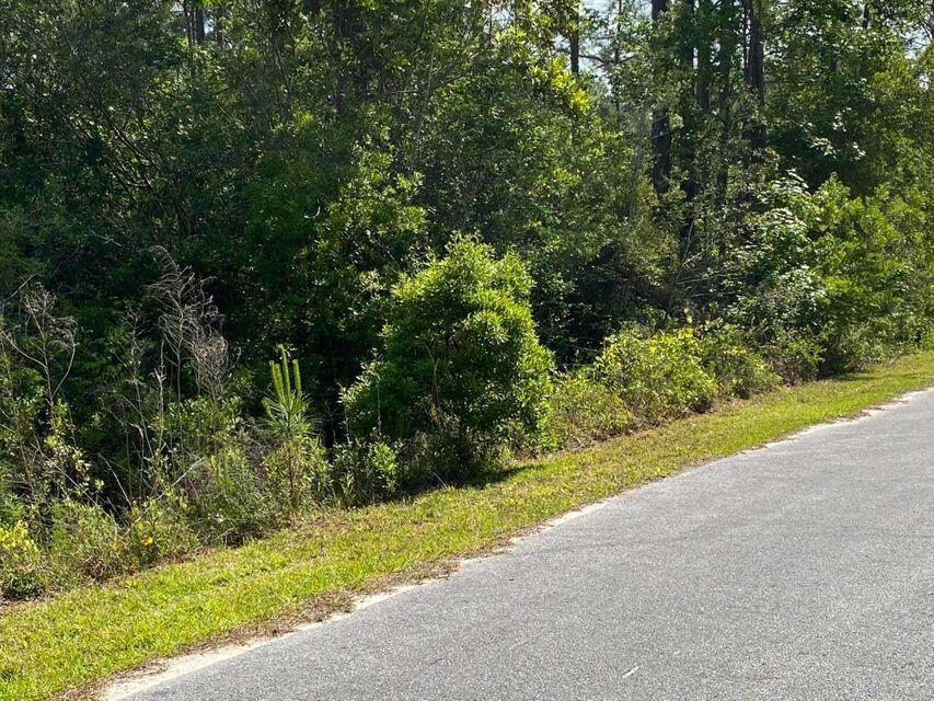 Lot 27 Fishermans Run Freeport, FL 32439 - Photo 5 of 11 a view of a yard with plants and large trees