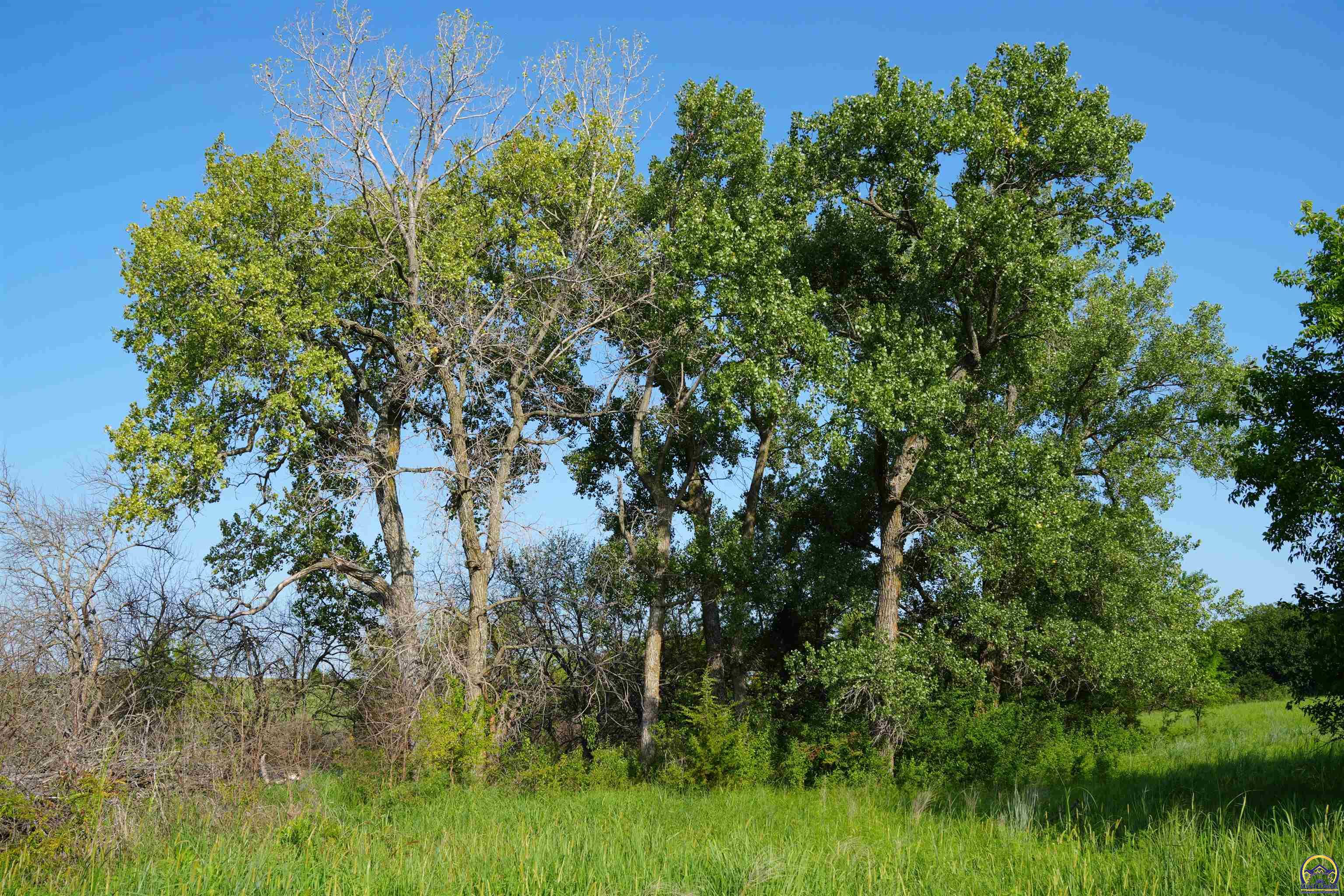 0 102 Road Hoyt, KS 66440 - Photo 44 of 49 Gallery Image 44