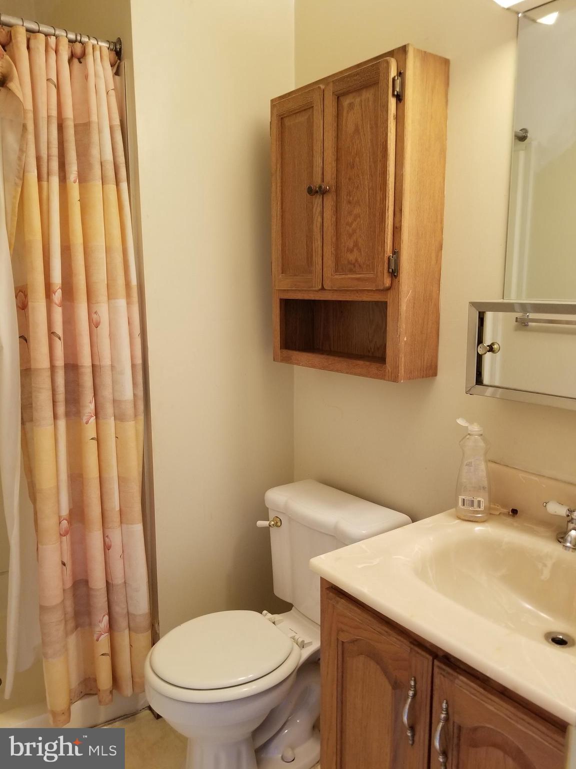 3153 Apple Road Northeast, Unit 5 Washington, DC 20018 - Photo 11 of 38 Bathroom in Primary Bedroom