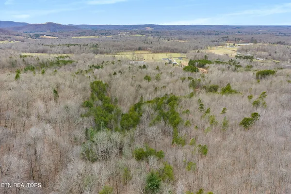 $295,000 | Pleasant Grove Road, Winfield, TN 37892
