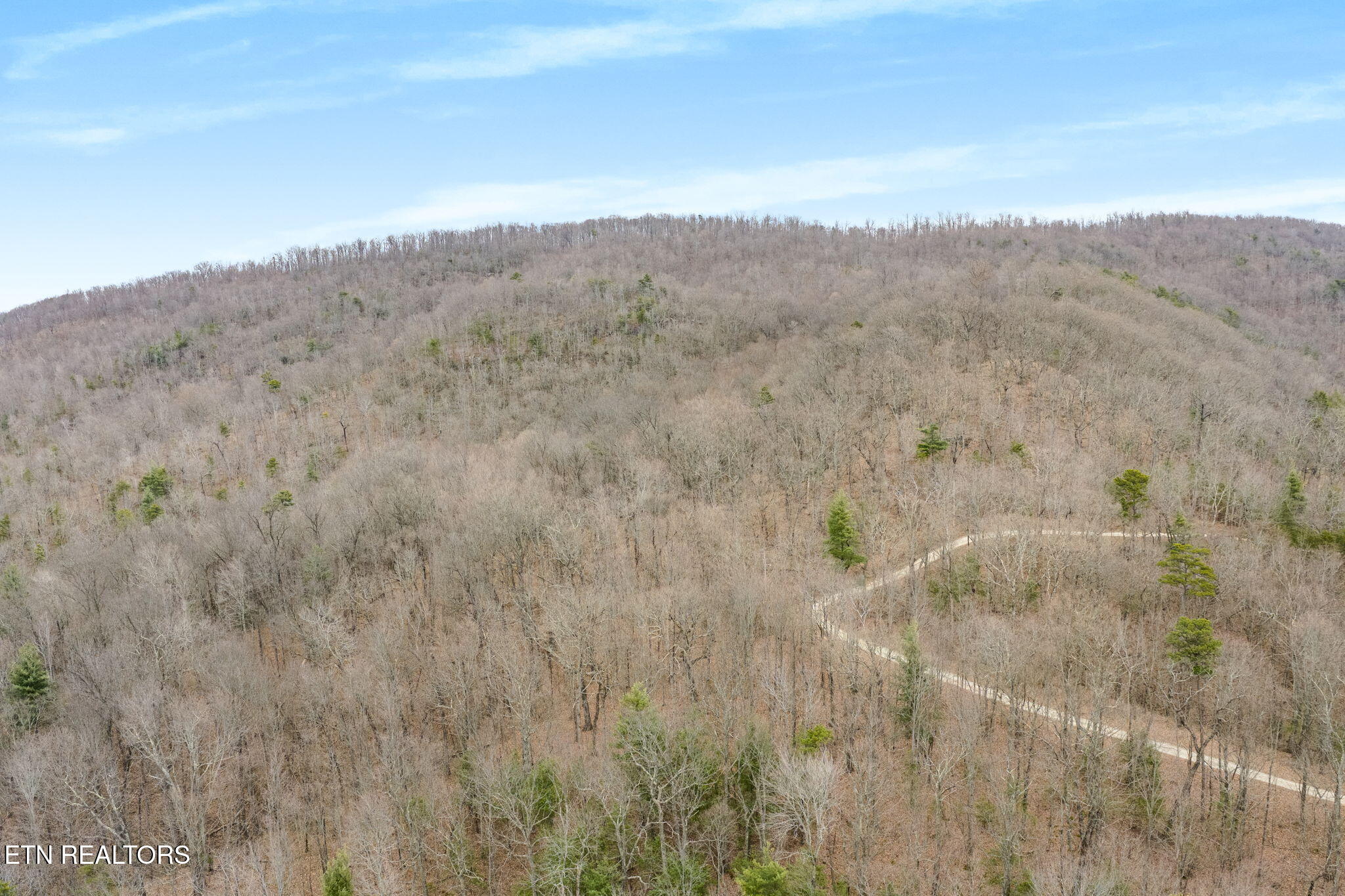 Pleasant Grove Road Winfield, TN 37892 - Photo 8 of 8 41-web-or-mls-DJI_20251216140921_0299_D