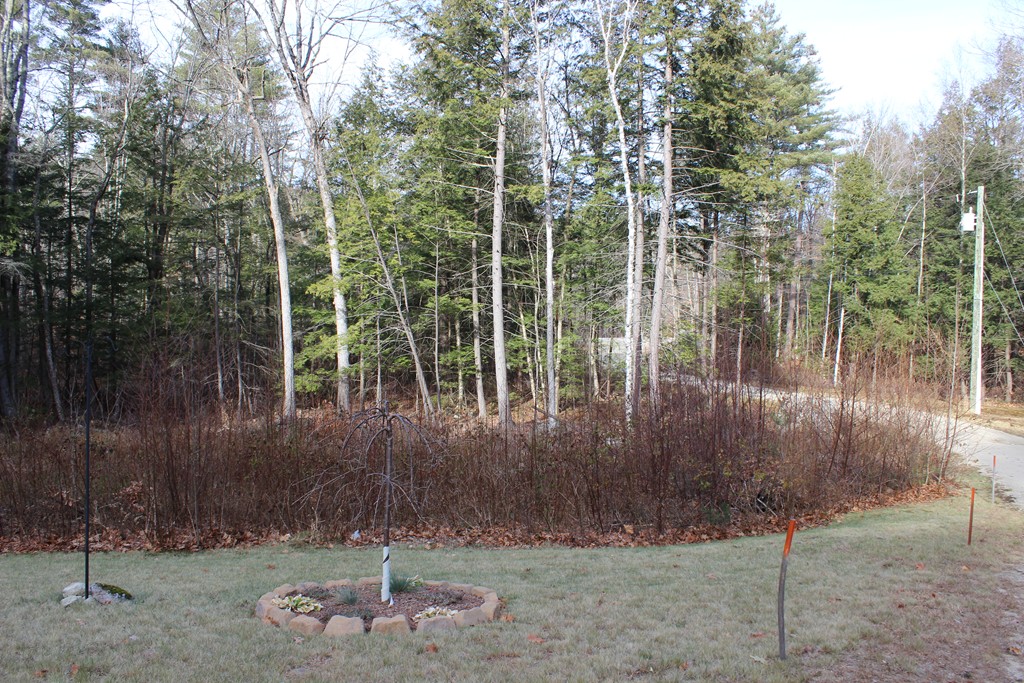 293 Bacon Road Henniker, NH 03242 - Photo 4 of 27