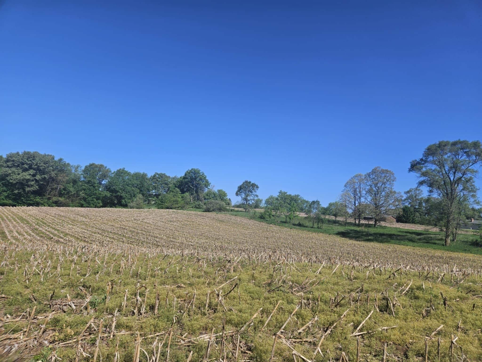 Jones Road Bellevue, MI 49021 - Photo 5 of 11 4e70a7a2-99f2-4a46-bff6-0912ba9f9e21