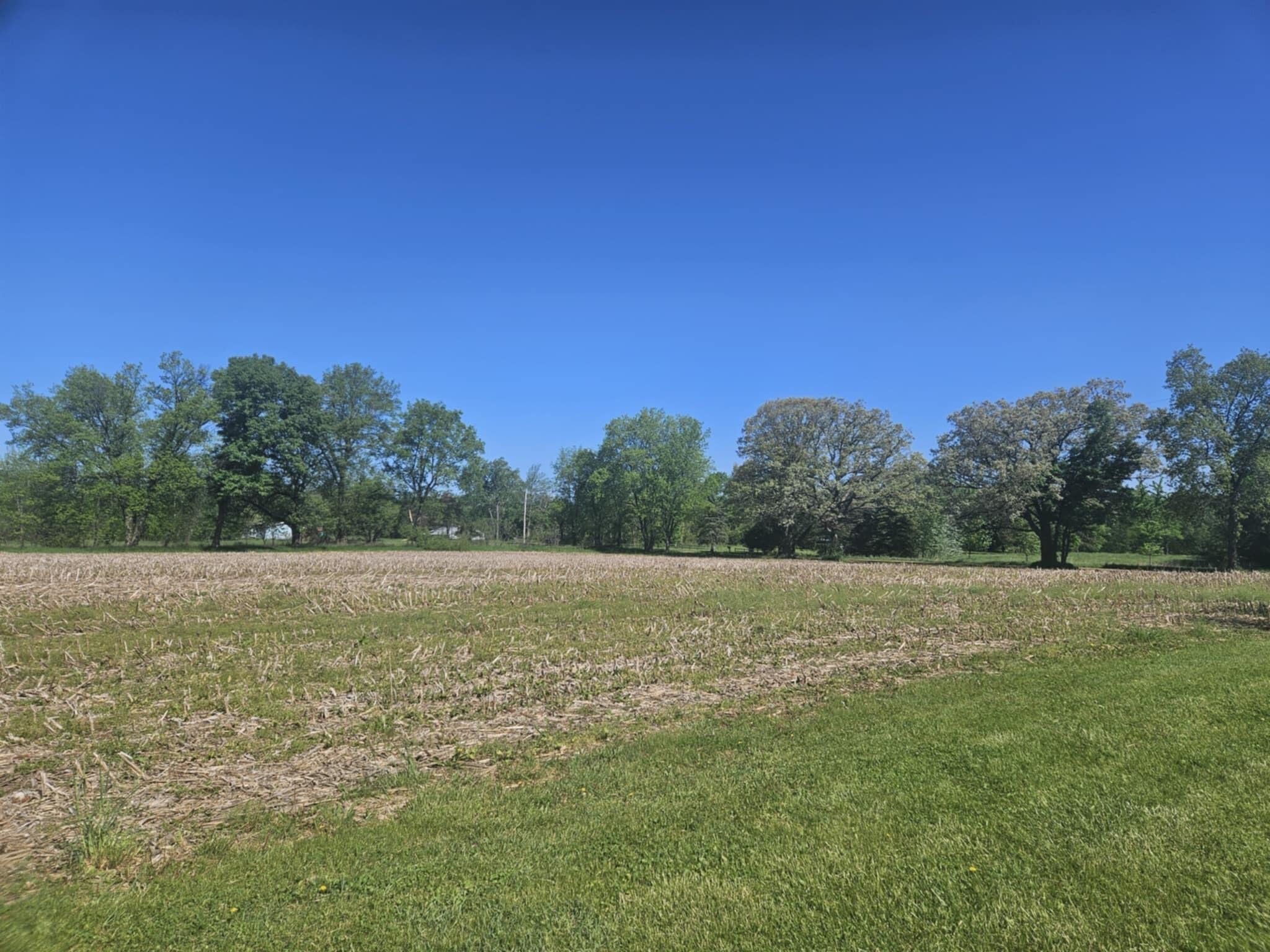 Jones Road Bellevue, MI 49021 - Photo 6 of 11 8da9ebd9-dc61-458c-b5ad-599af30bdf4c