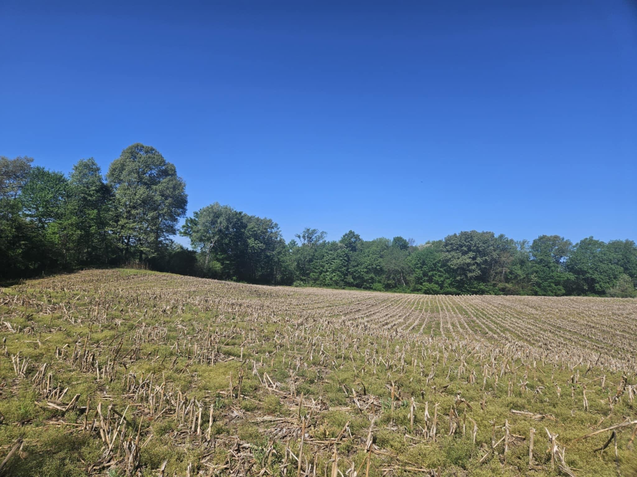 Jones Road Bellevue, MI 49021 - Photo 10 of 11 f545e62a-2786-4b25-969c-eabe058adc6f