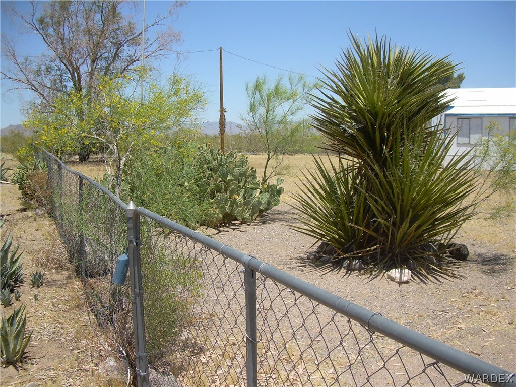 3644 Eloy Road Golden Valley, AZ 86413 - Photo 6 of 35 a view of a palm plant that is in front of a house