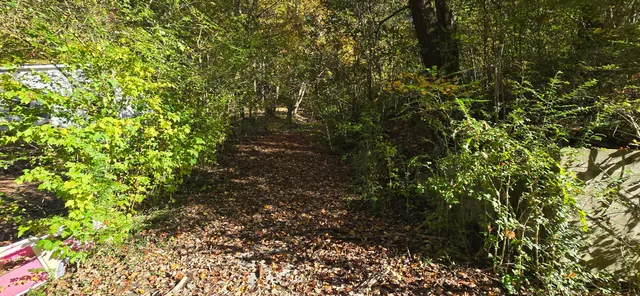 $20,000 | 408 Hollywood Drive, Rossville, GA 30741