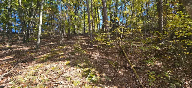 $20,000 | 408 Hollywood Drive, Rossville, GA 30741