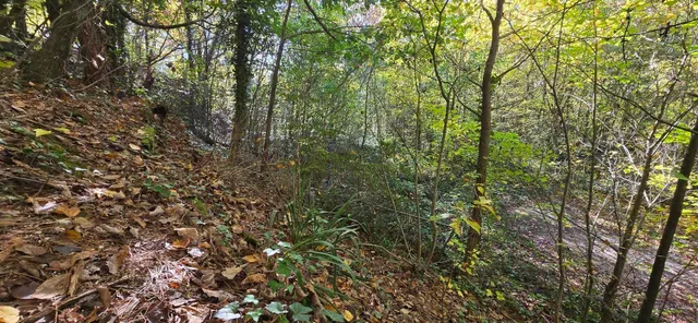 $20,000 | 408 Hollywood Drive, Rossville, GA 30741