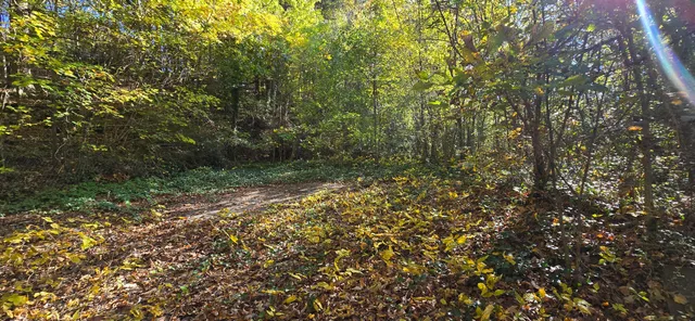 $20,000 | 408 Hollywood Drive, Rossville, GA 30741