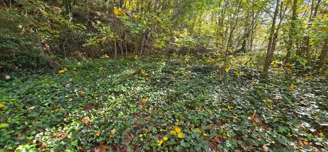 $20,000 | 408 Hollywood Drive, Rossville, GA 30741