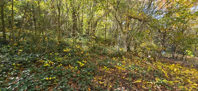 $20,000 | 408 Hollywood Drive, Rossville, GA 30741