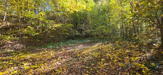 $20,000 | 408 Hollywood Drive, Rossville, GA 30741