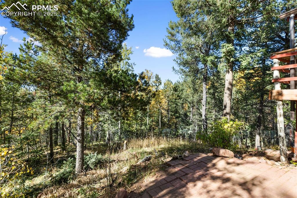 679 Calcite Drive Divide, CO 80814 - Photo 25 of 35