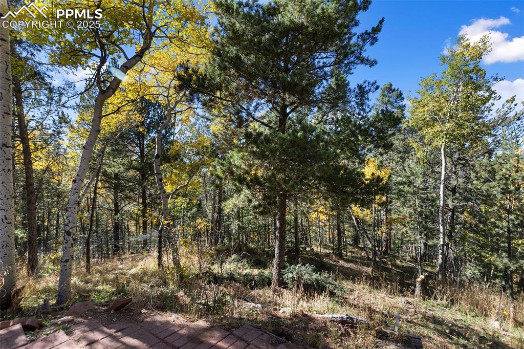 679 Calcite Drive Divide, CO 80814 - Photo 26 of 35