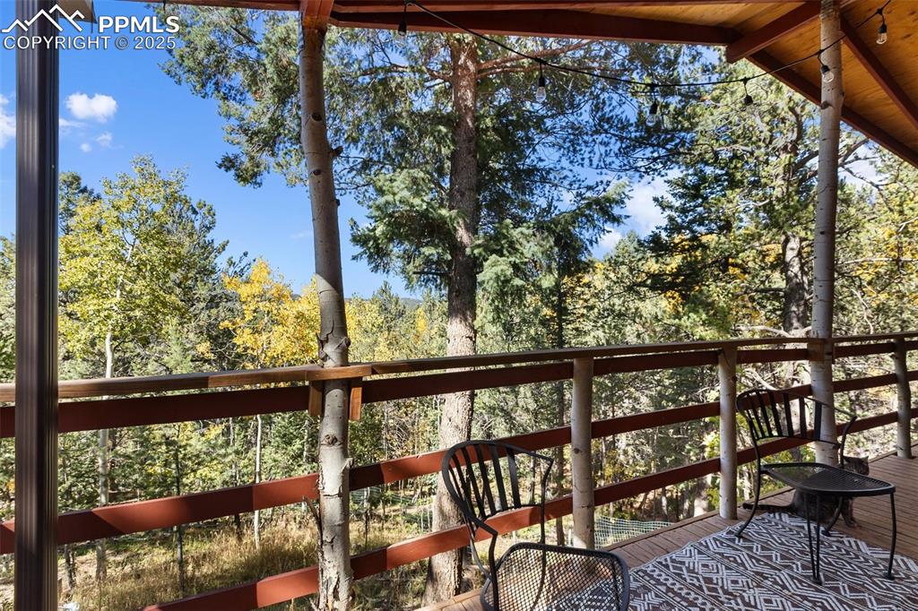 679 Calcite Drive Divide, CO 80814 - Photo 27 of 35