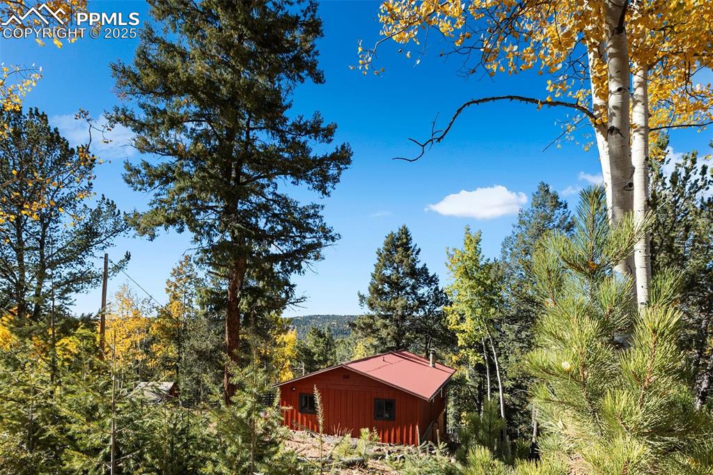 679 Calcite Drive Divide, CO 80814 - Photo 33 of 35 a view of a house with a yard and a tree
