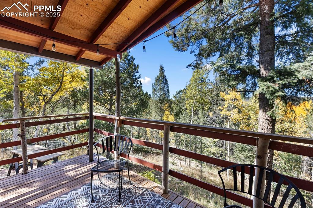 679 Calcite Drive Divide, CO 80814 - Photo 4 of 35 a view of a porch