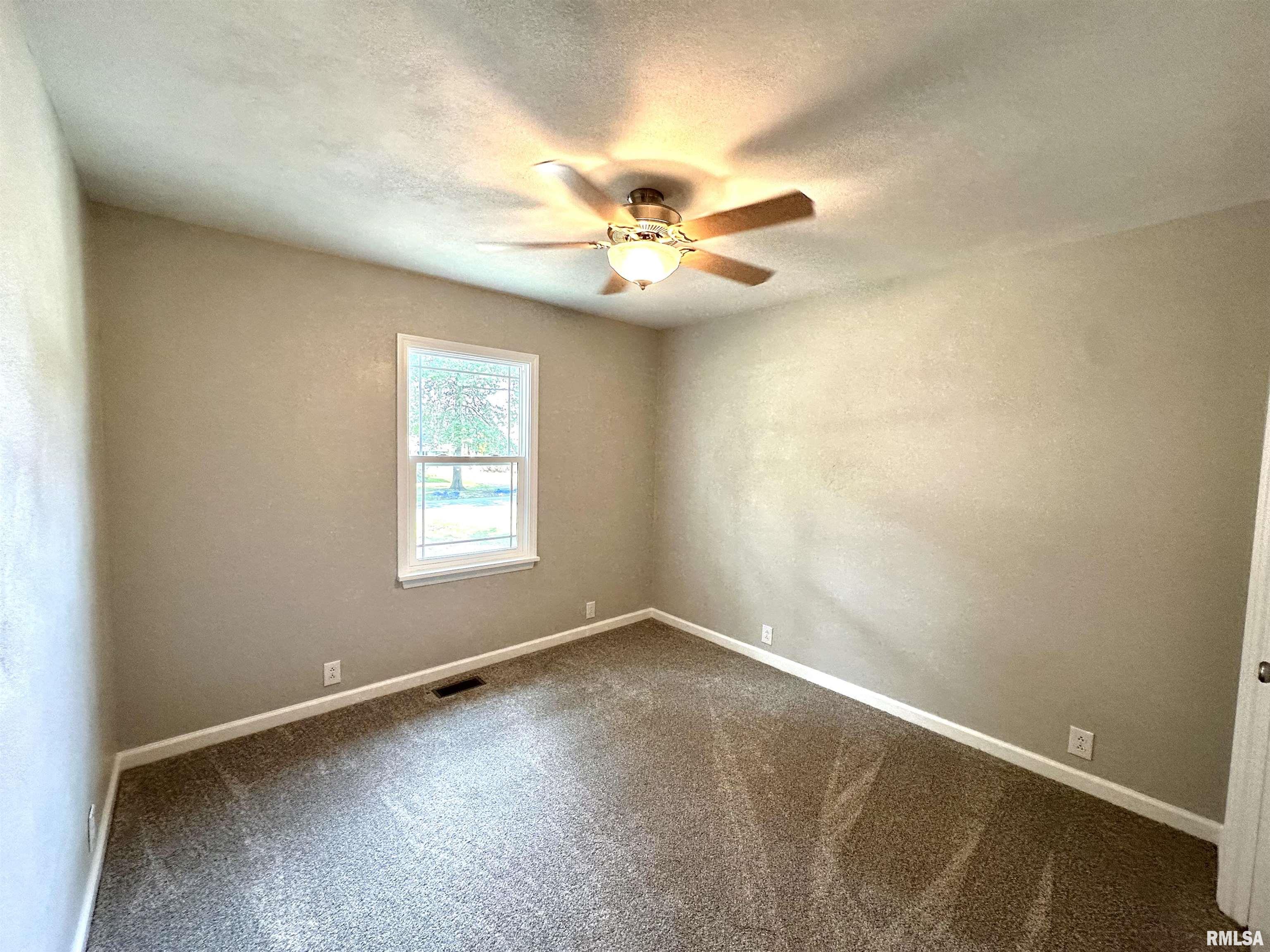 119 Randolph Drive Centralia, IL 62801 - Photo 9 of 14