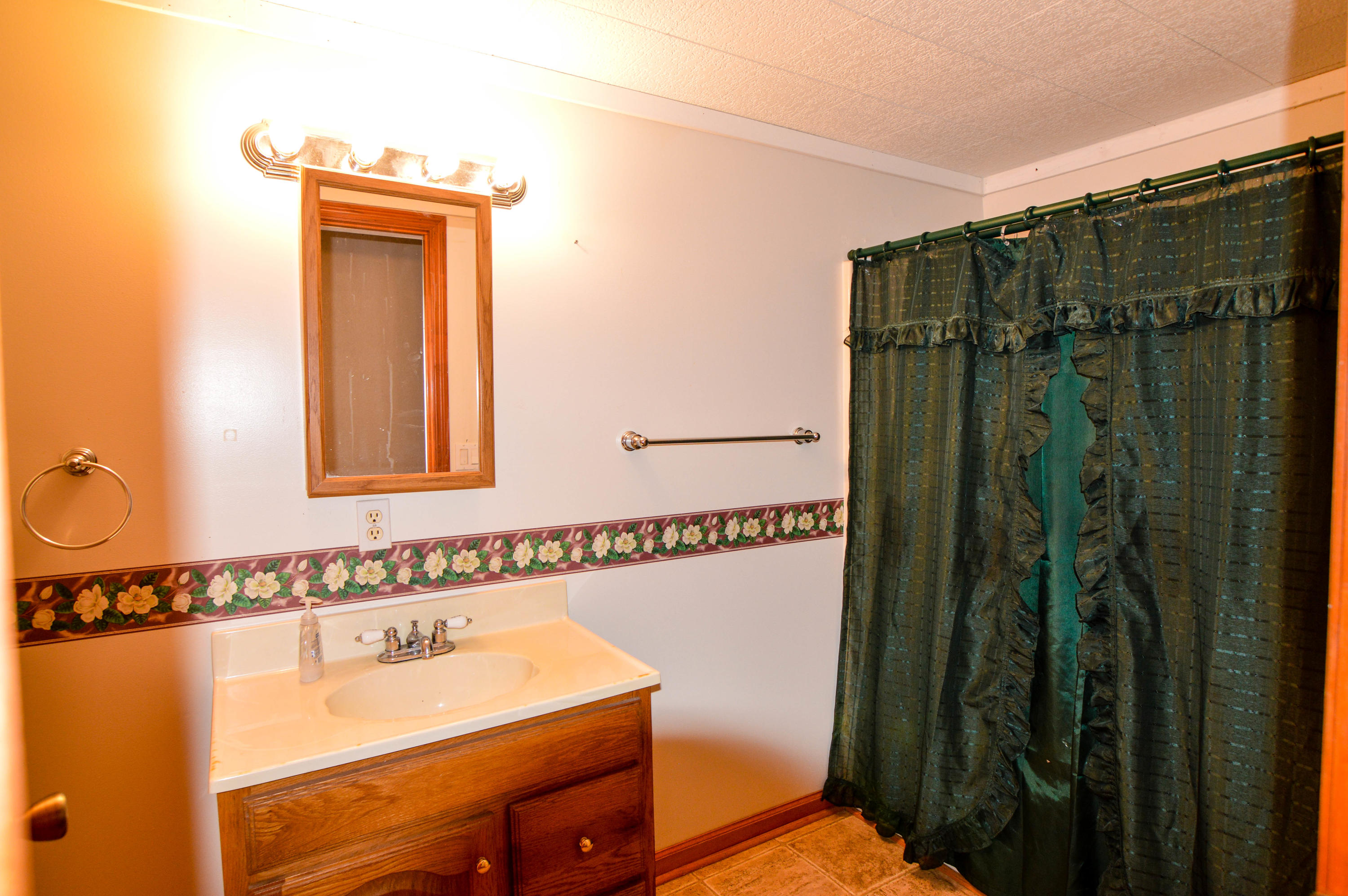 806 Cemetery Road Oliver Springs, TN 37840 - Photo 34 of 39 Bathroom