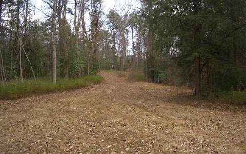 5-ac Silver Creek Road Blue Ridge, GA 30513 - Photo 1 of 1 Main View