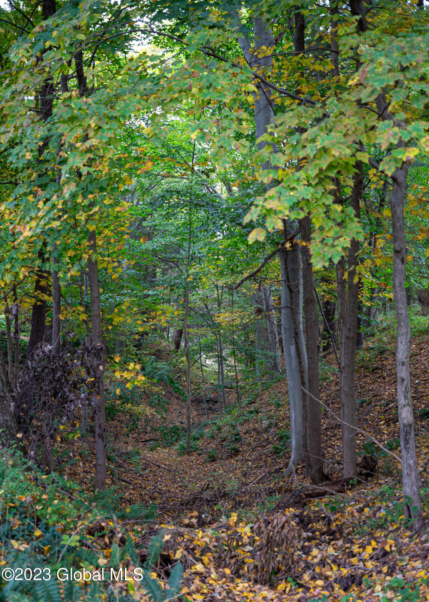 80 Kinder Drive Stuyvesant, NY 12106 - Photo 34 of 42 IMG_0546