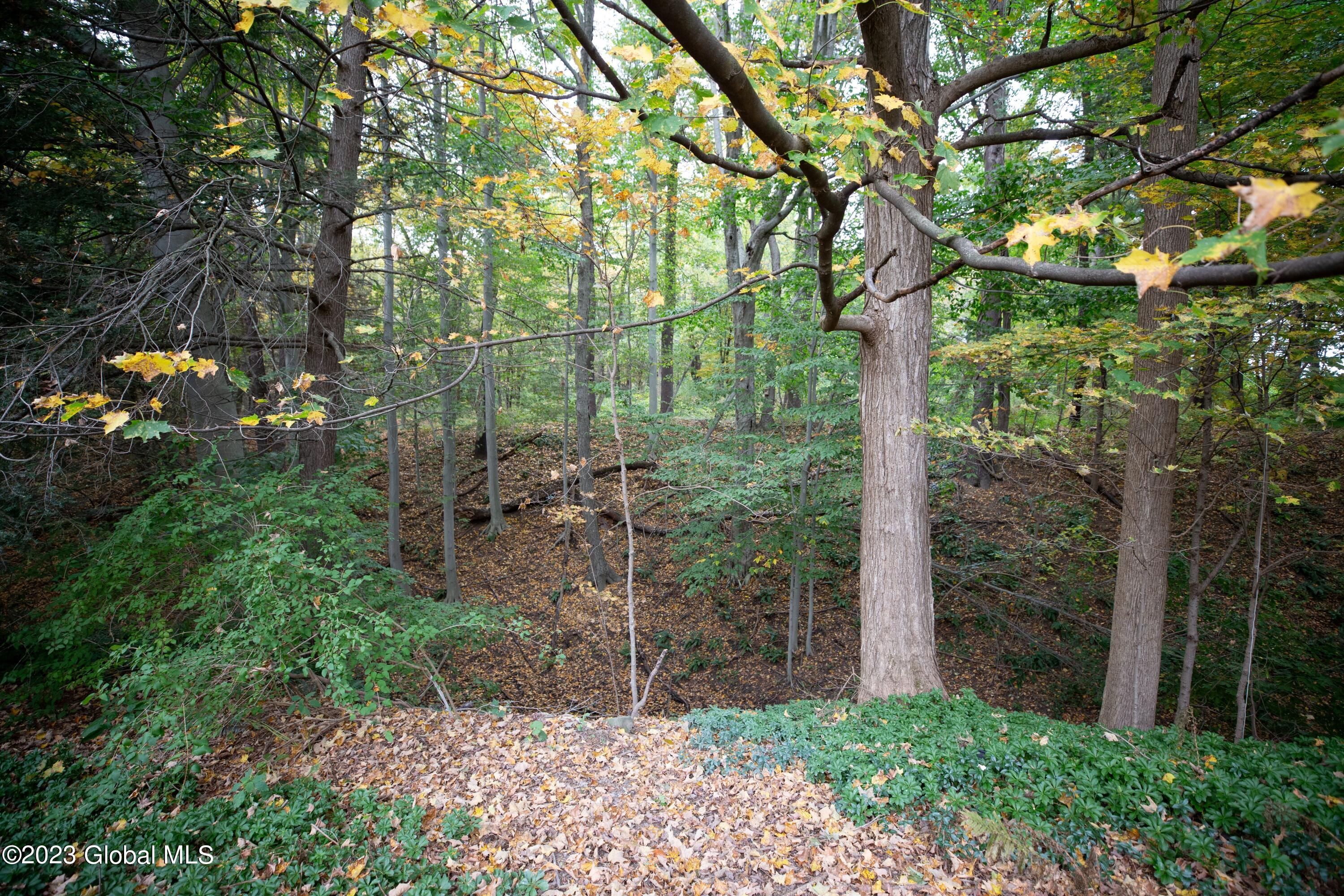 80 Kinder Drive Stuyvesant, NY 12106 - Photo 40 of 42 IMG_0539