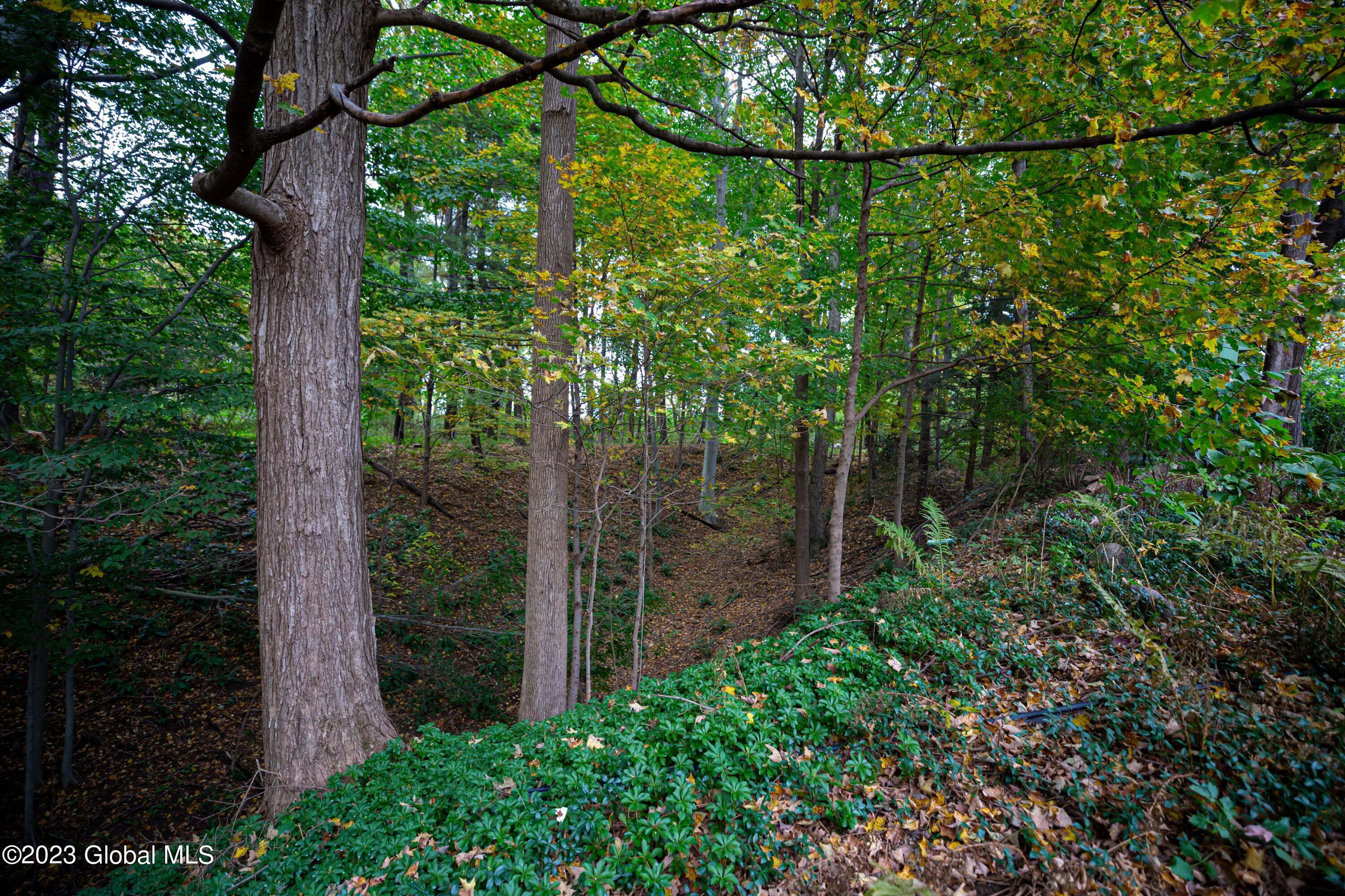 80 Kinder Drive Stuyvesant, NY 12106 - Photo 41 of 42 IMG_0540