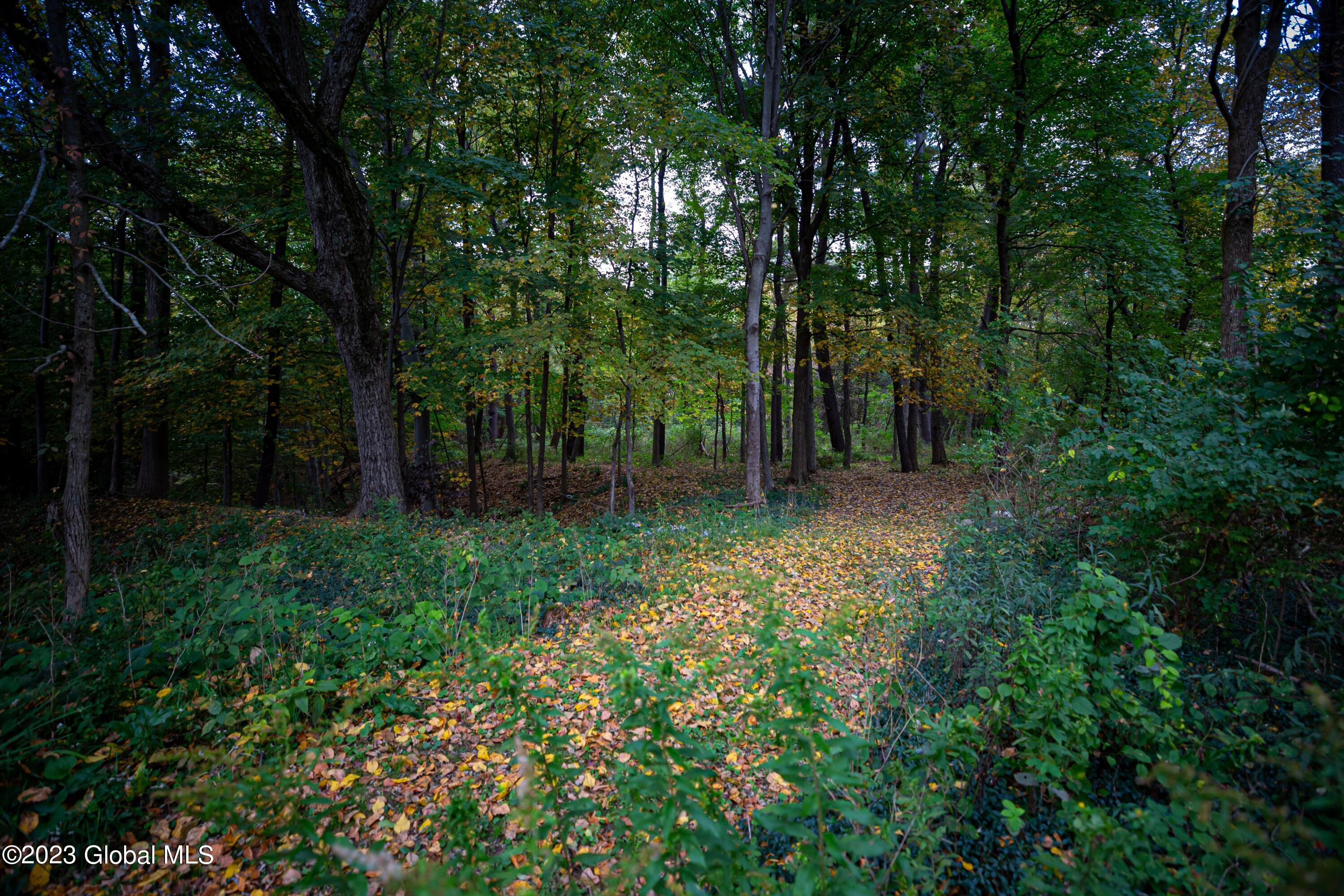 80 Kinder Drive Stuyvesant, NY 12106 - Photo 42 of 42 IMG_0545