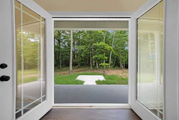a view of a yard with plants and large trees