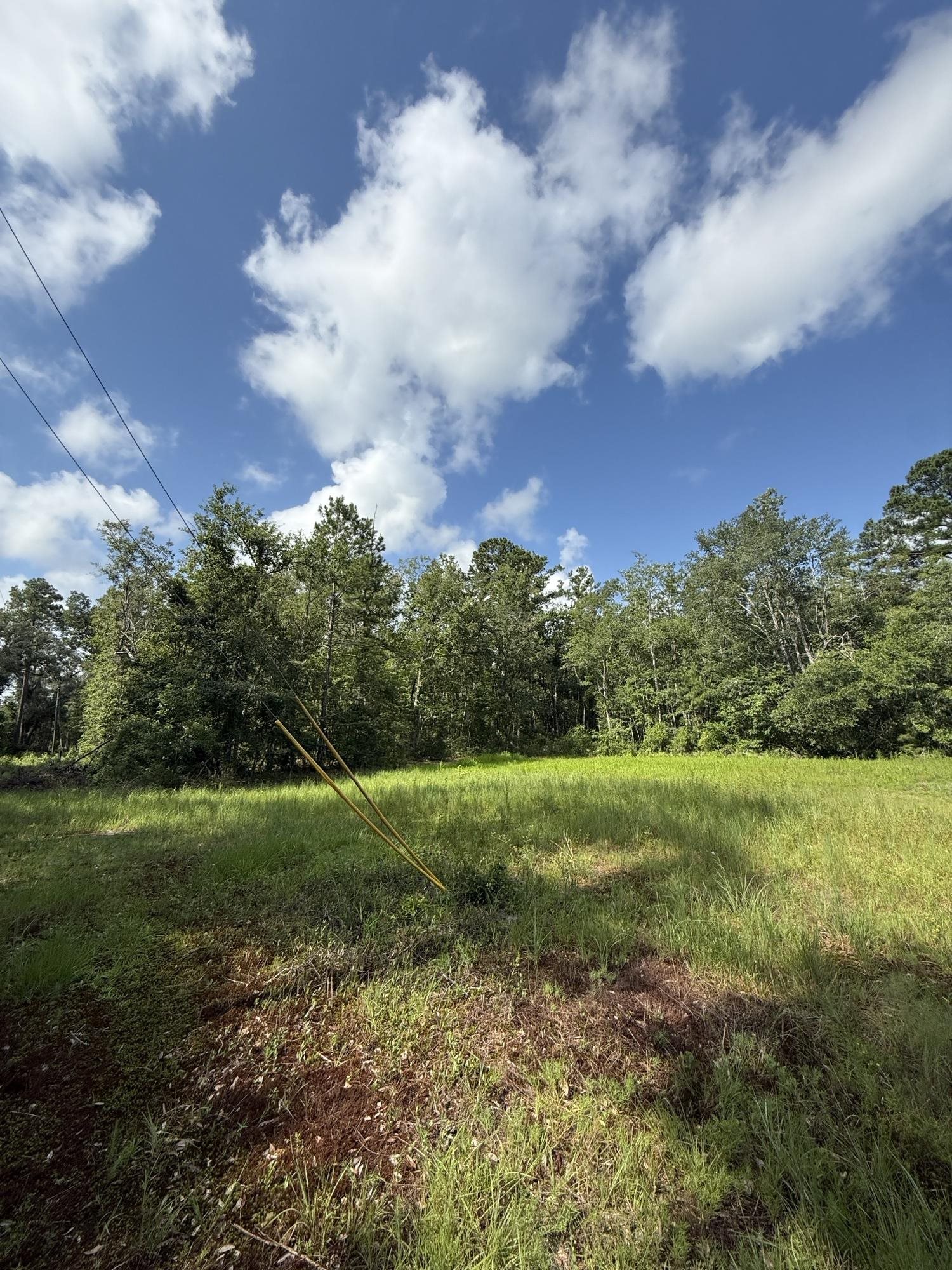 Xxx Neely Road Monticello, FL 32344 - Photo 35 of 37