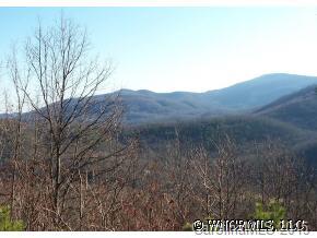 999 Rock Branch Road Fairview, NC 28730 - Photo 1 of 12 Gallery Image 1