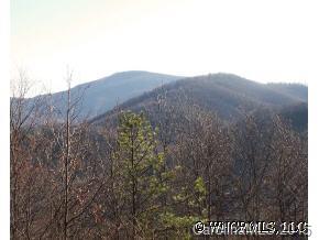 999 Rock Branch Road Fairview, NC 28730 - Photo 3 of 12 Gallery Image 3