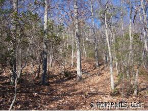 999 Rock Branch Road Fairview, NC 28730 - Photo 6 of 12 Gallery Image 6