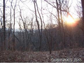 999 Rock Branch Road Fairview, NC 28730 - Photo 7 of 12 Gallery Image 7