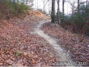 999 Rock Branch Road Fairview, NC 28730 - Photo 9 of 12 Gallery Image 9