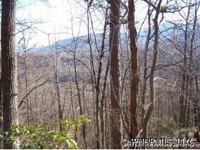 999 Rock Branch Road Fairview, NC 28730 - Photo 10 of 12 Gallery Image 10
