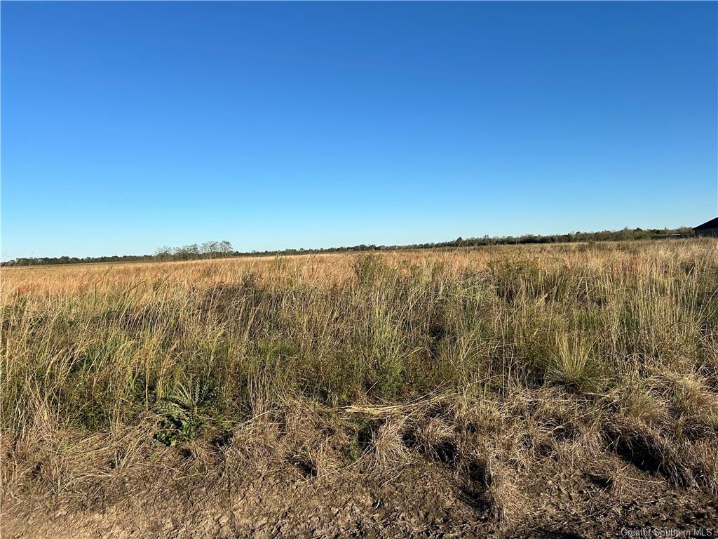 0 North Jeff Davis Ward Line Road Iowa, LA 70647 - Photo 1 of 2