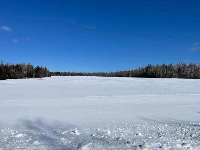 0 Tracy Road Amity, ME 04471 - Photo 10 of 16 IMG_9009